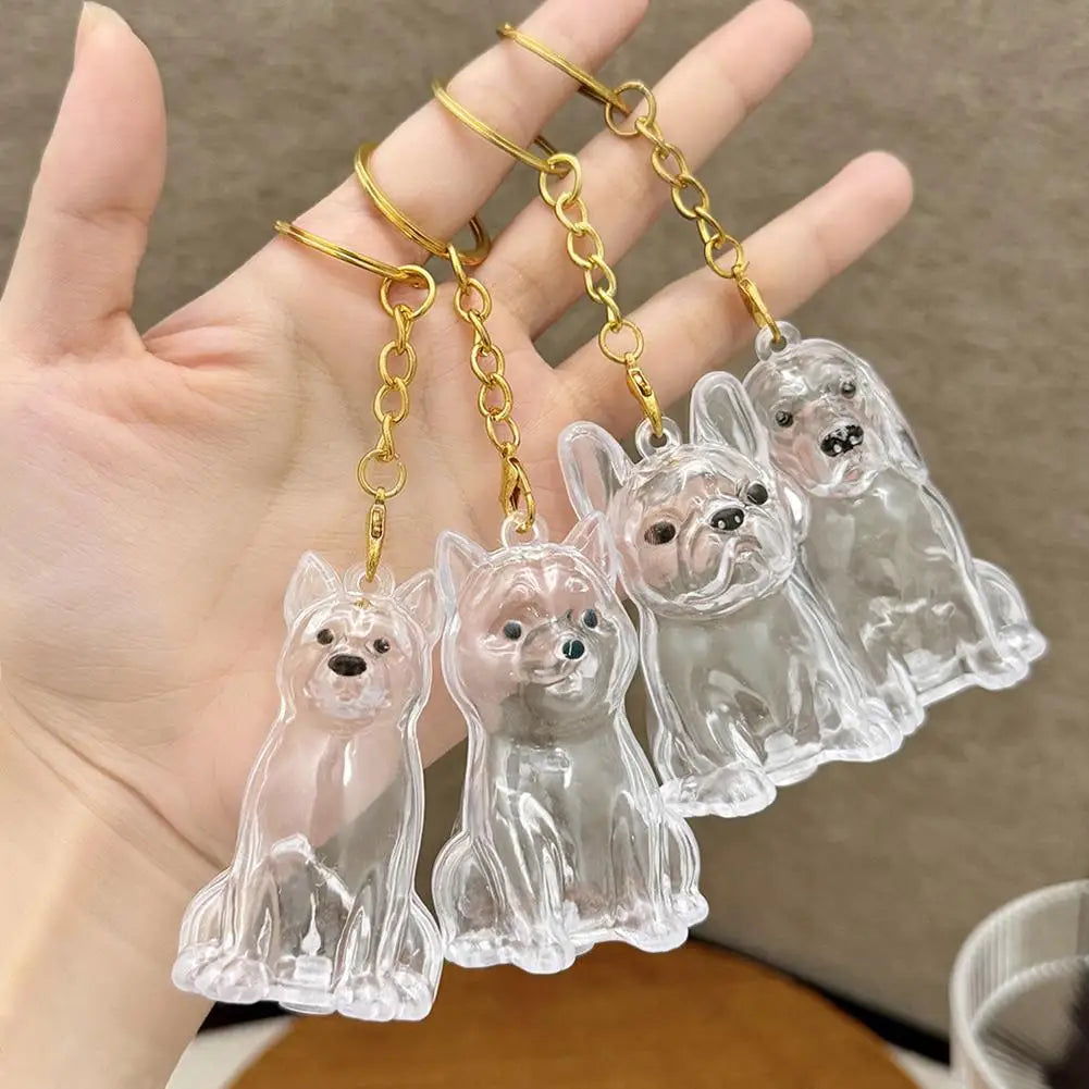 Transparent Cute Dog Hair Storage Keychain Pet Fur Keepsake Capsule