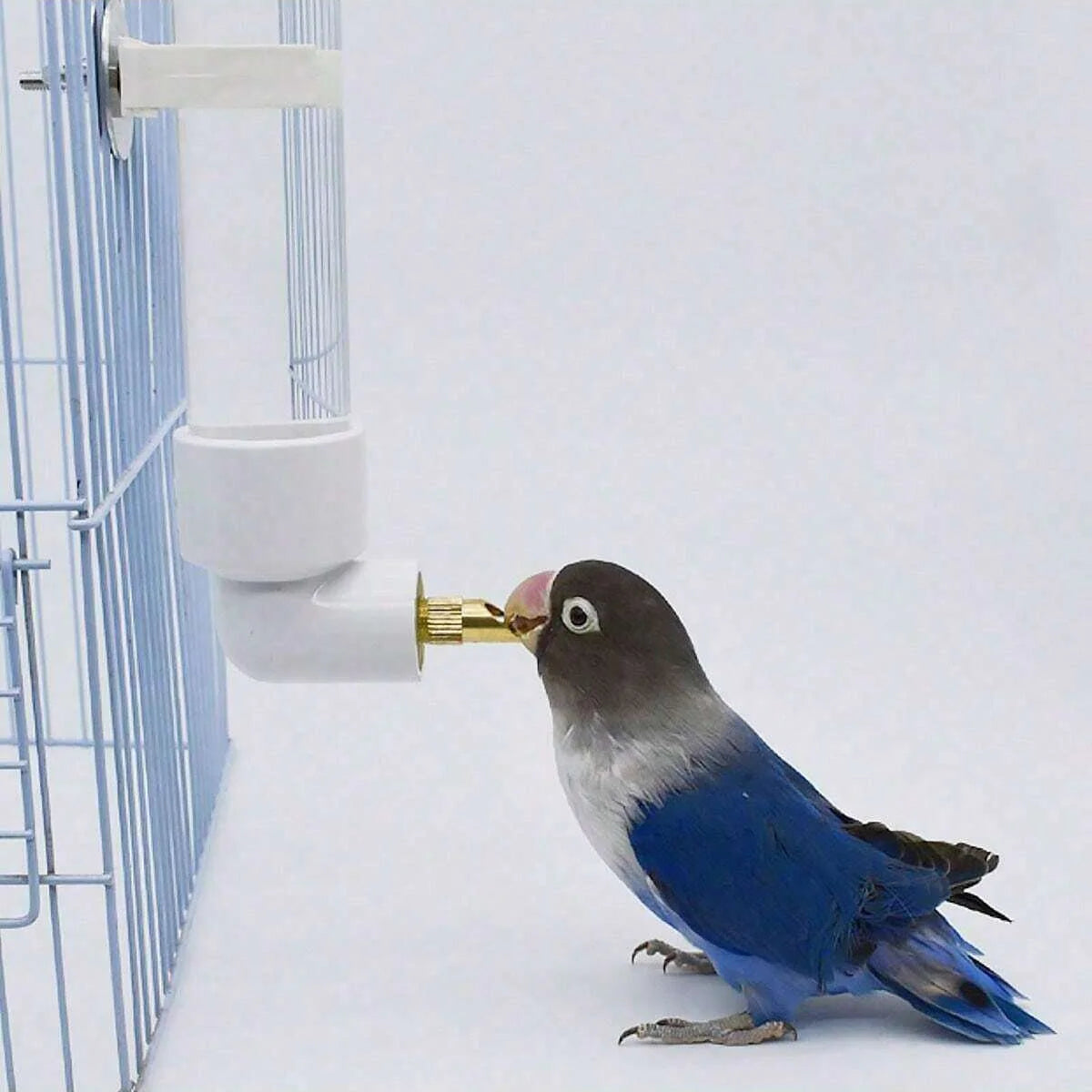 1pc-Parrot water dispenser, water bottle, hanging automatic feeder