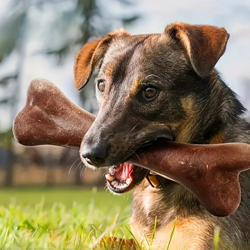 Dog Durable Beef Flavored Chew Toy, Bone Shaped Dog Interactive Play