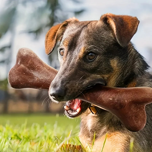 Dog Durable Beef Flavored Chew Toy, Bone Shaped Dog Interactive Play
