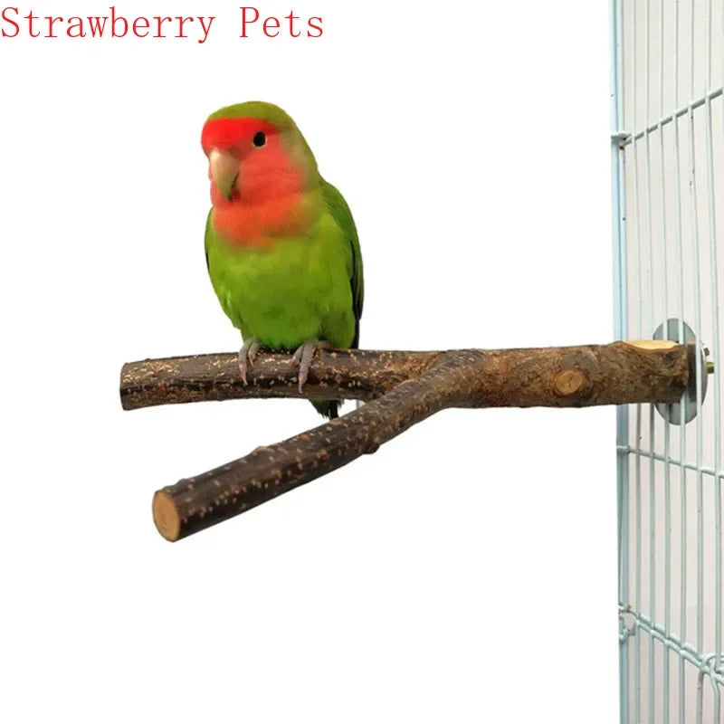 Natural Wood Pet Parrot Raw Wood Fork Tree Branch Stand Rack Squirrel