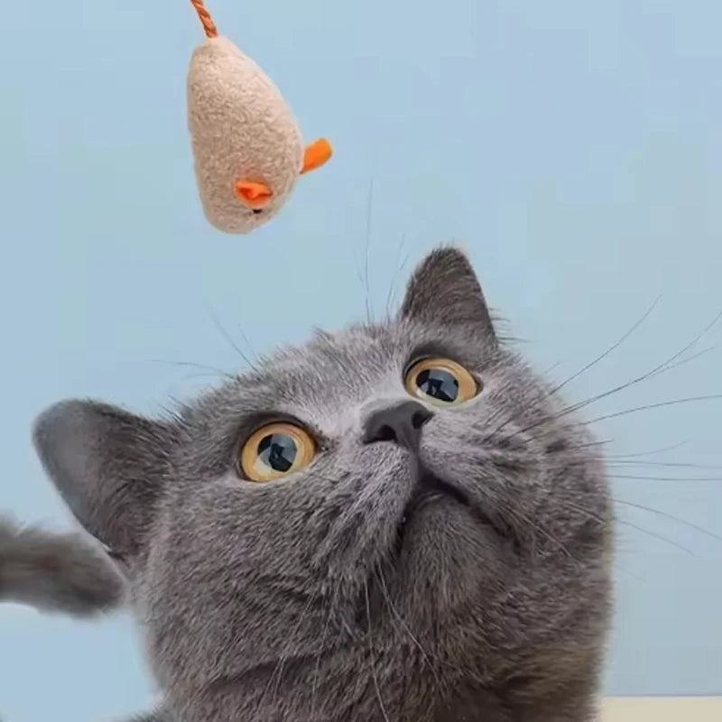 Hot 3/7PCS Interactive Plush Rat And Cat Toys With Durable Linen