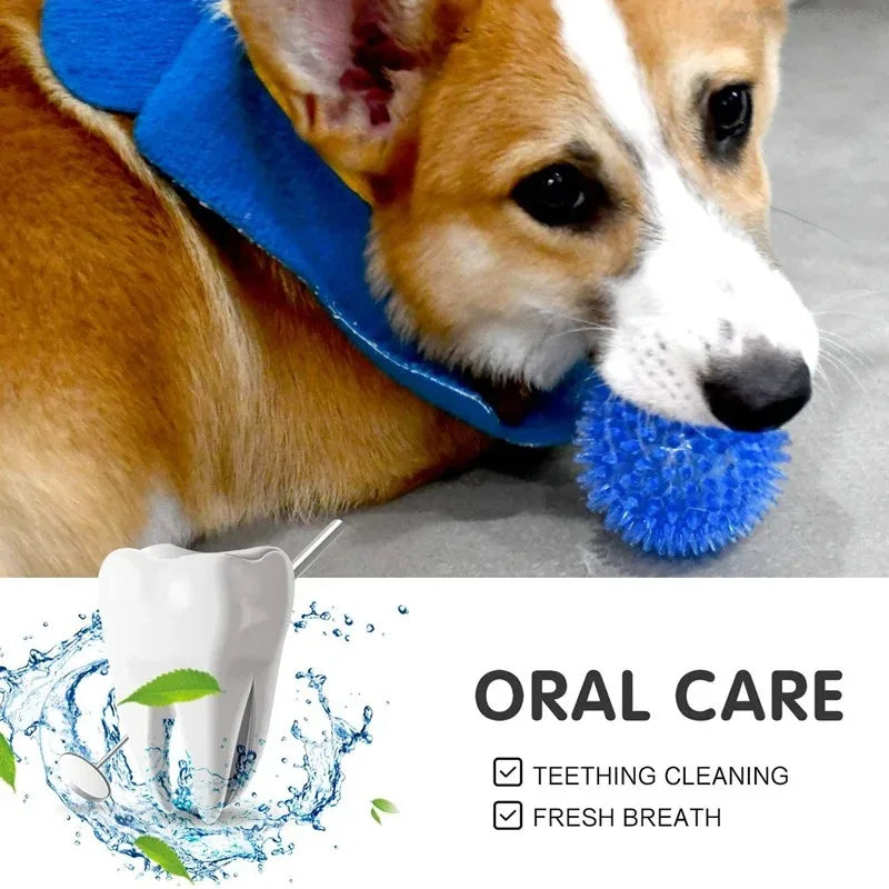 Pet Dog Toys Cat Puppy Sounding Toy Polka Squeaky Tooth Cleaning Ball