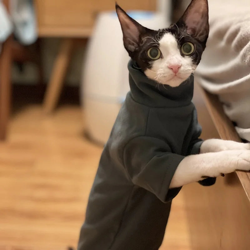 Sphynx Cat Clothes Baby Soft Cotton Fall Winter Kitten Small Dog