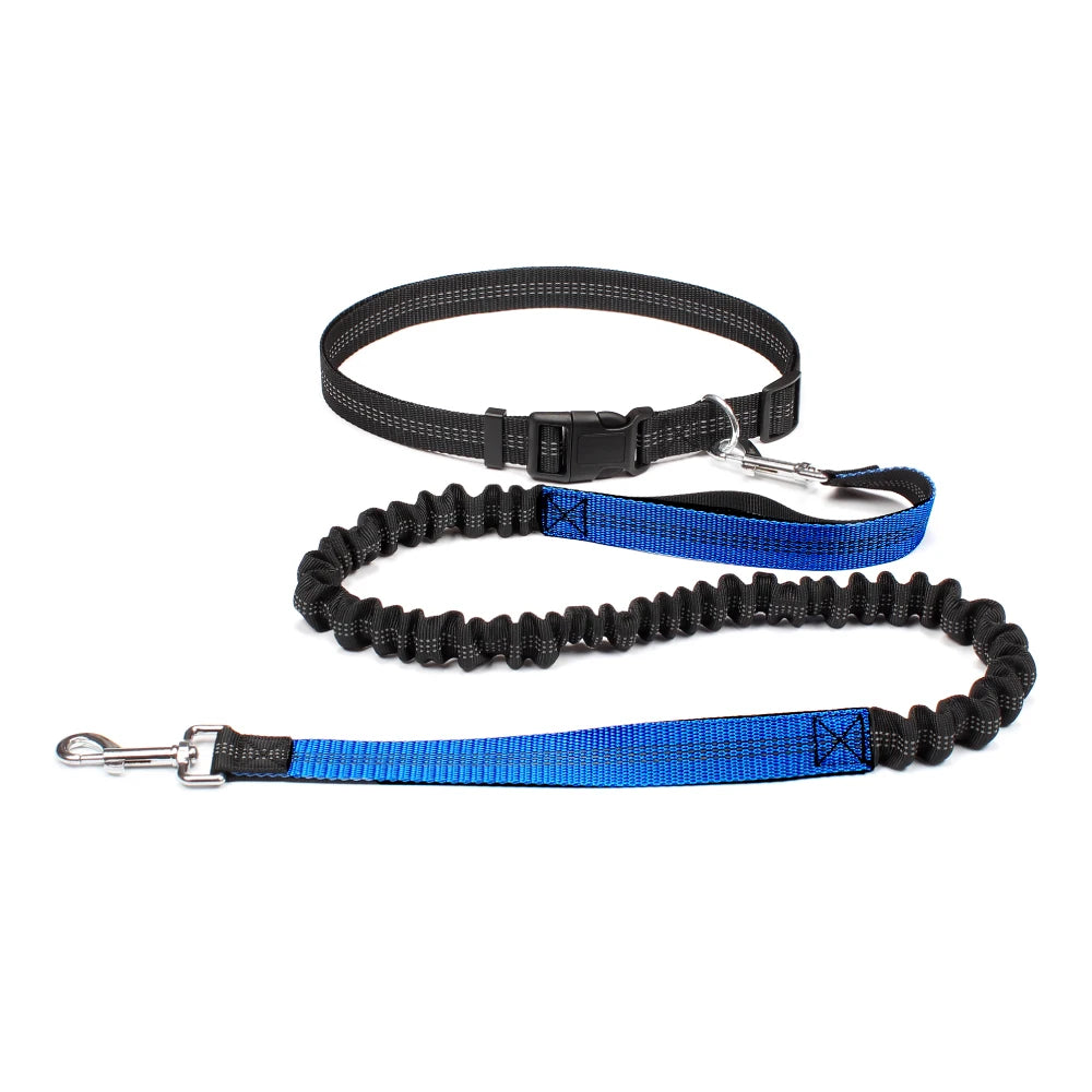 Hand Free Dog Leash for Pet Walking Running Jogging Adjustable Dog