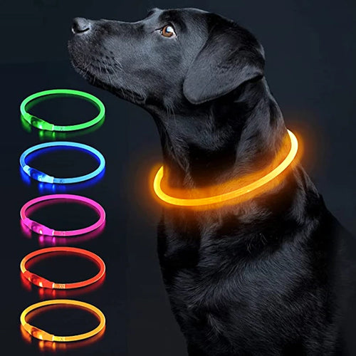 Luminous Dog Collar Light Charge Cat Necklace, Led Fashion Flashing