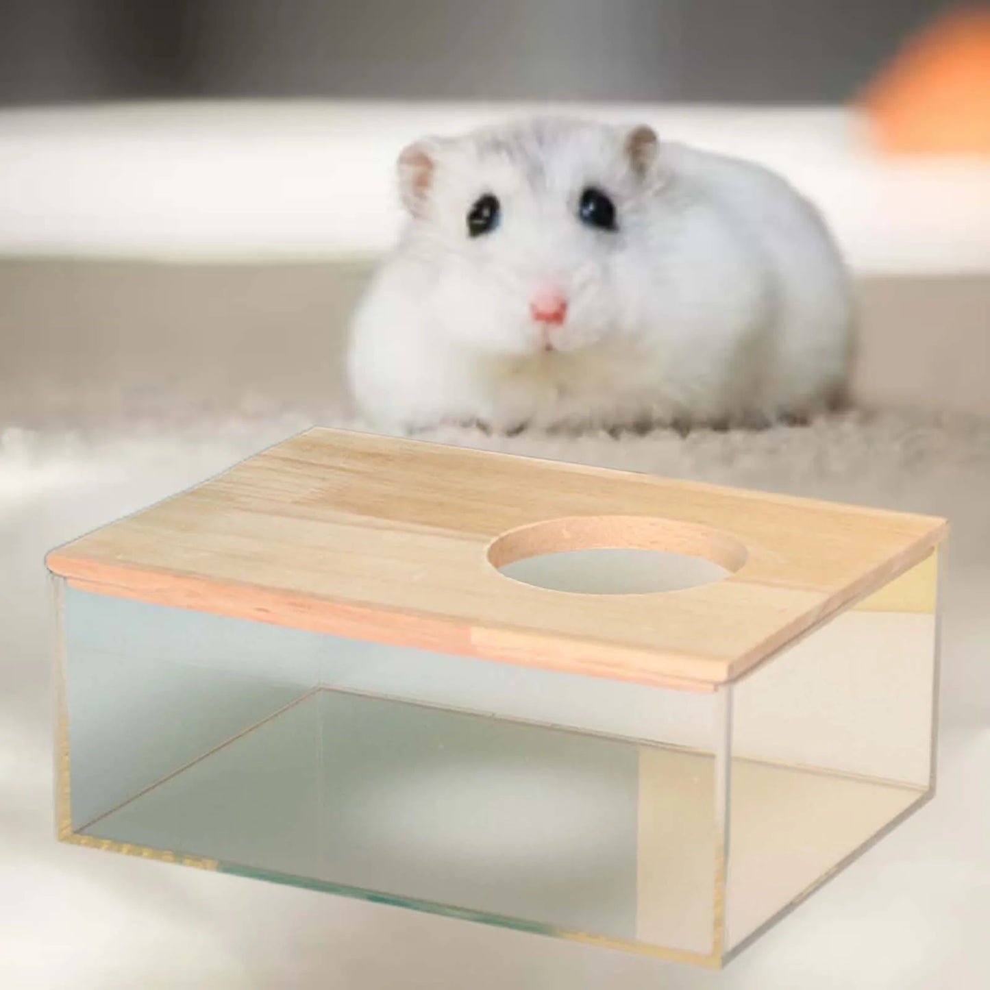 Hamster Bathroom House Clear Hamster Sand Box Bathtub Bathroom Toilet