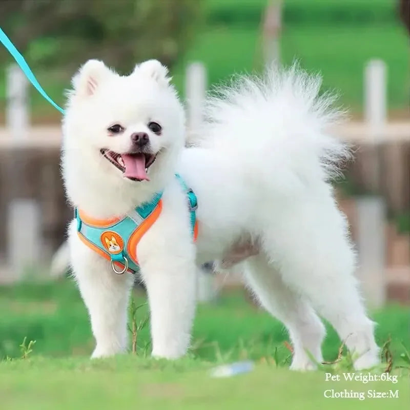 Booteely Pet Suede Chest Harness Vest Dog Cat Strap Reflective Leash