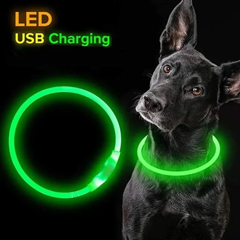 Dog Collar Luminous Usb Cat Dog Collar 3 Modes Led Light Glowing Loss