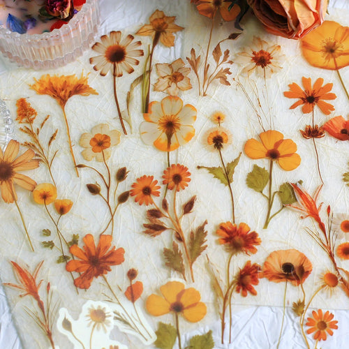 Journamm 50Pcs Transparent Decoration Flower Stickers for Scrapbooking