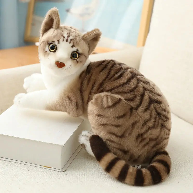 Stuffed Siame Cats Plush Toy 20/25cm Simulation American Shorthair