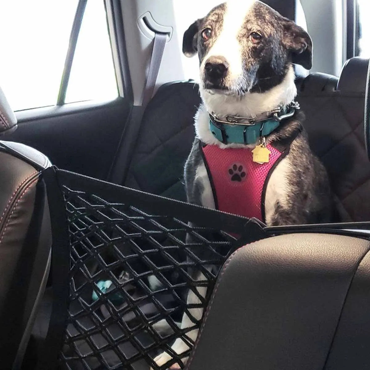 Pet Dog Rear Seat Car Fence Dog Isolation Protection Net Elastic