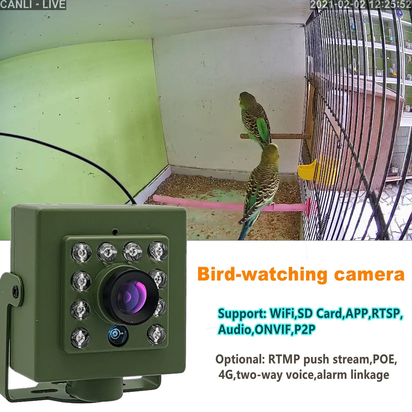 Green Wifi Bird Box Camera Audio 1920P 1080P IR CUT Night Vision RTSP