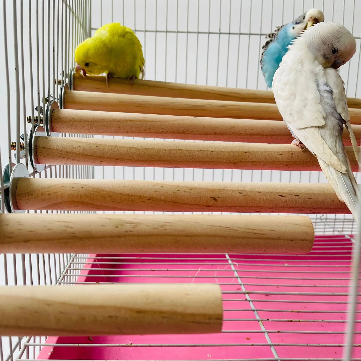 Parrot Pet Raw Standing Stick Wood Hanging Stand Rack Toy Sticksstand