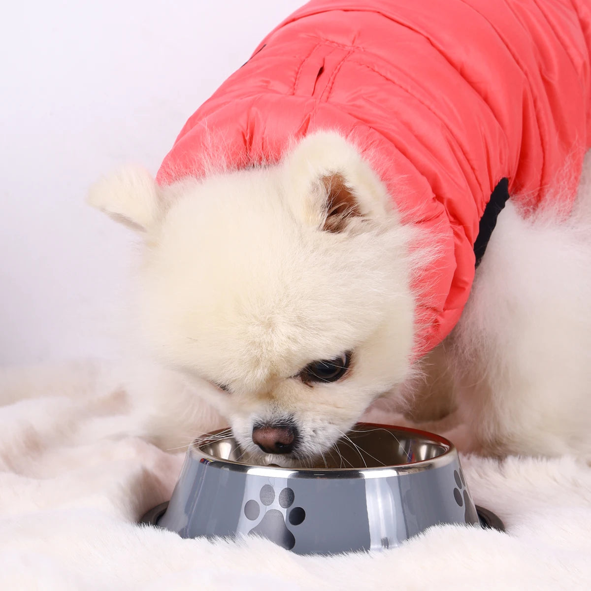 Stainless Steel Pet Bowl Cat  Dog Food Bowl Multi-Specification