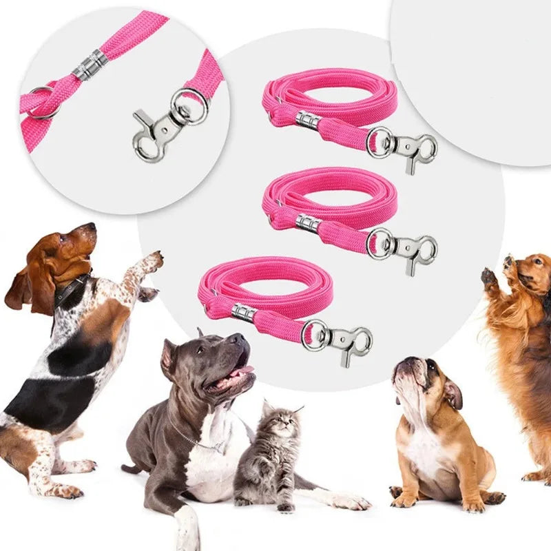 Adjustable Pet Grooming Fixed Rope Quick Release Lock Clip for Dog Cat
