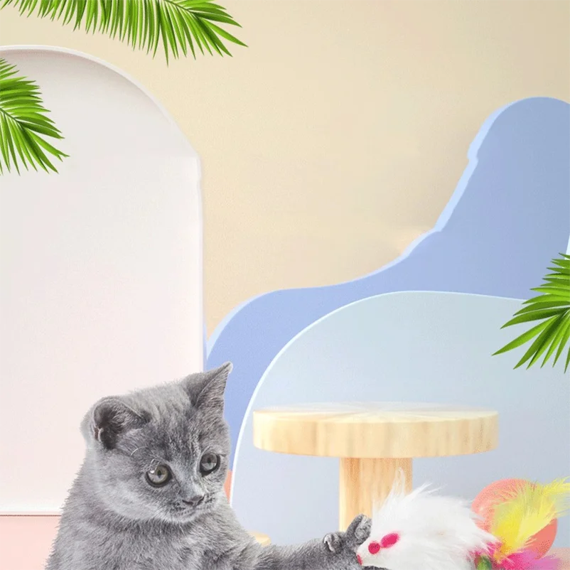 Pet cat toys durable colorful feathers Mimi's favorite fur mouse