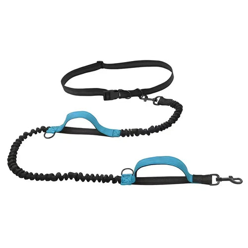 Outdoor Pet Dual Elastic Traction Rope Reflective Running at Night