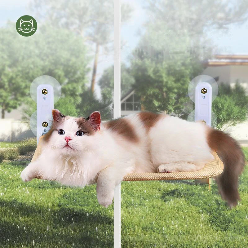 Cat hammock super suction cup swing sun can be removed and washed
