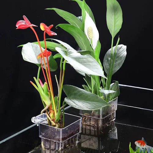 1PC Hydroponic Planting Cup Household Water Grass Planting Cup Wall