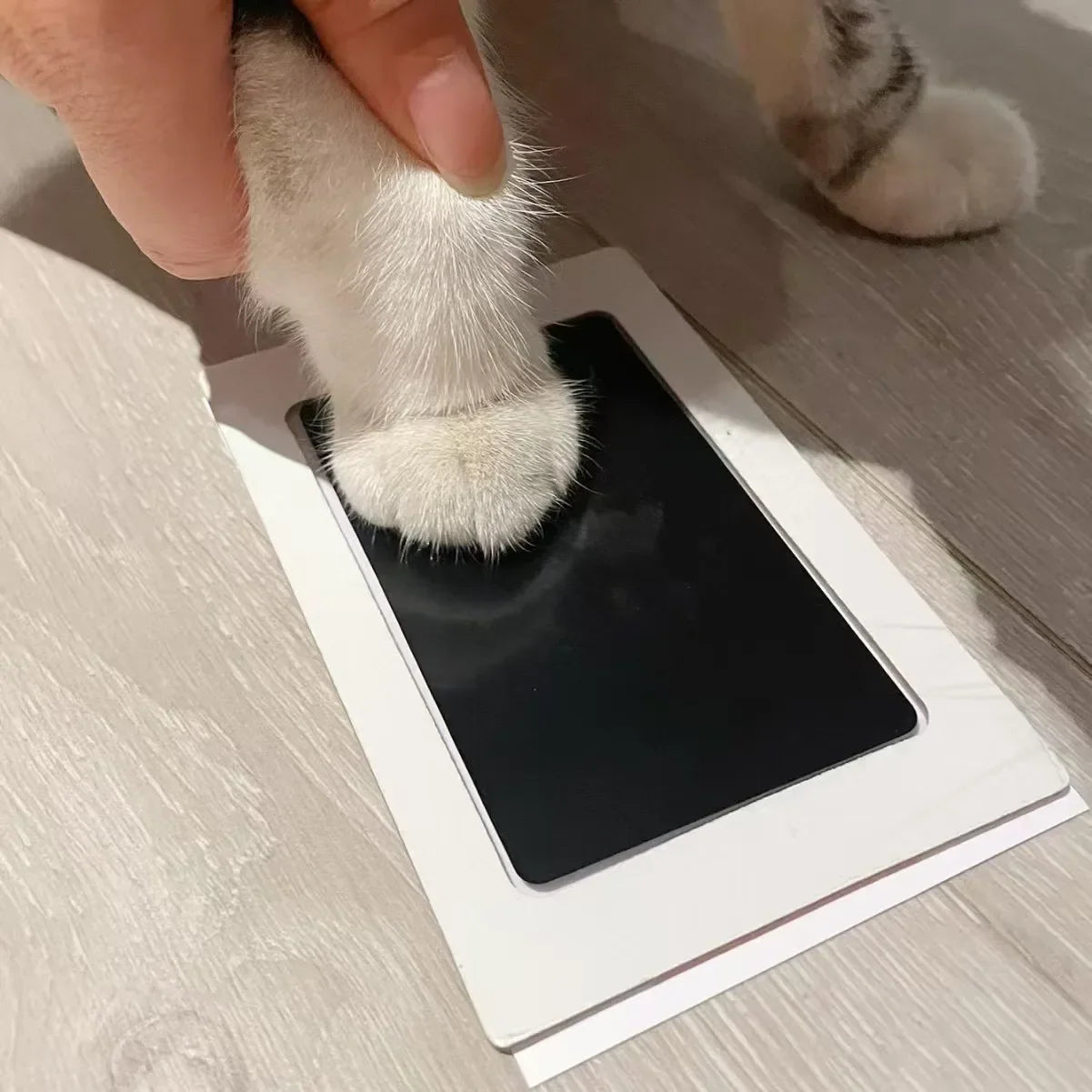 Baby Handprint Footprints Ink Pads for Pet Safe Non-toxic No-Touch