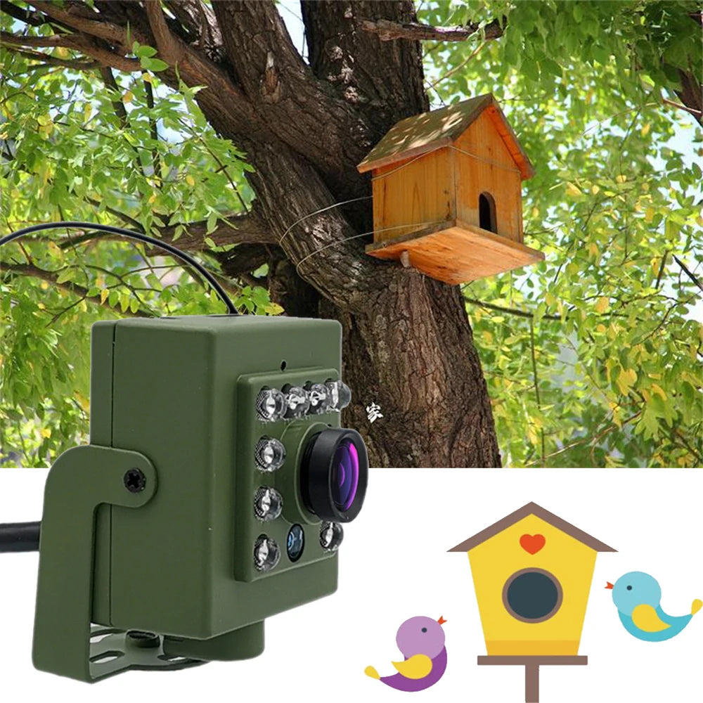 Green Wifi Bird Box Camera Audio 1920P 1080P IR CUT Night Vision RTSP