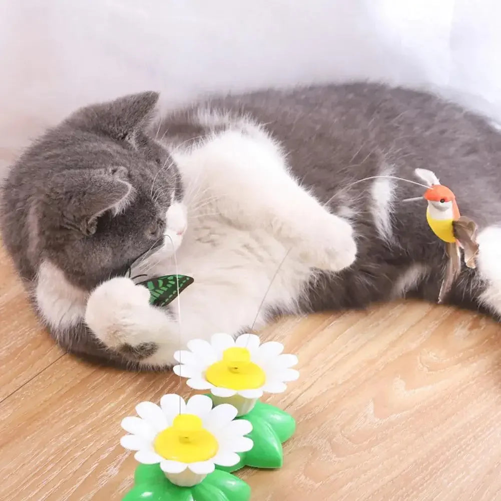 Electric Butterfly Cat Toy Shake Rotating Flying Automatic Humming