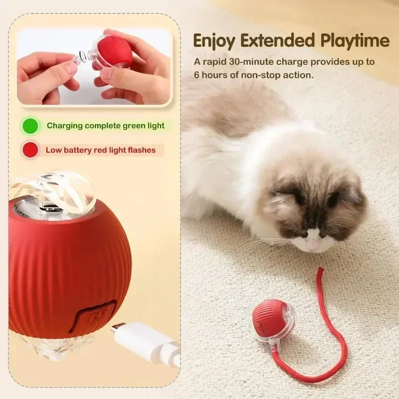 Cat Interactive Ball Toy, Automatic Rolling Ball with Tail,