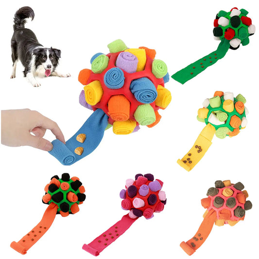 Dog Sniffing Ball Innovative Pet Shaking Training Toys for Pet
