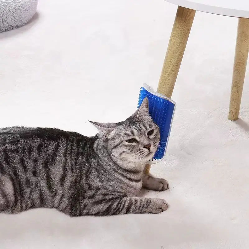 Cat Massage Tool Pet Hair Removal Massage Comb Wall Corner Self
