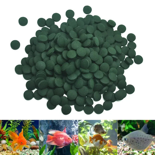 100/500pcs Spirulina Tablets Enrichment Favorite Pet Food fish crystal