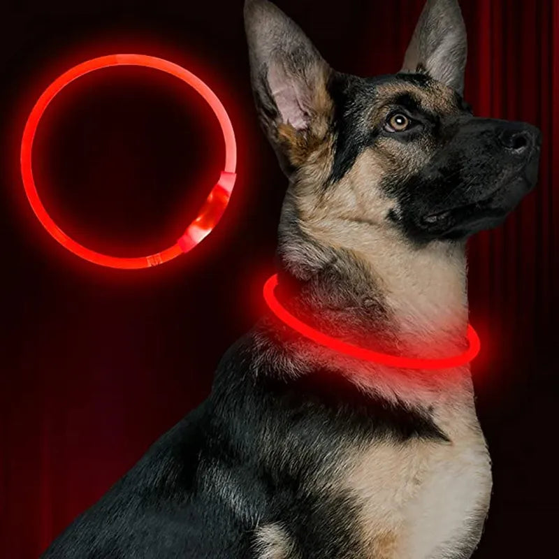 Led Usb Dog Collar Pet Dog Night Luminous Charge Collar Led Night