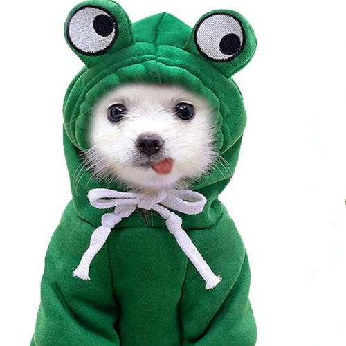 Adorable Green Frog Dog Sweater Dog Coats  Pet Clothes Pet Hooded
