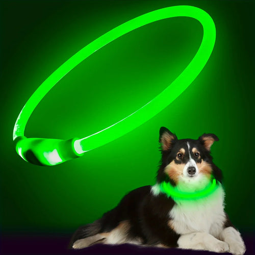 LED Light Dog Collar USB Charging Luminous Anti-Lost Necklace for