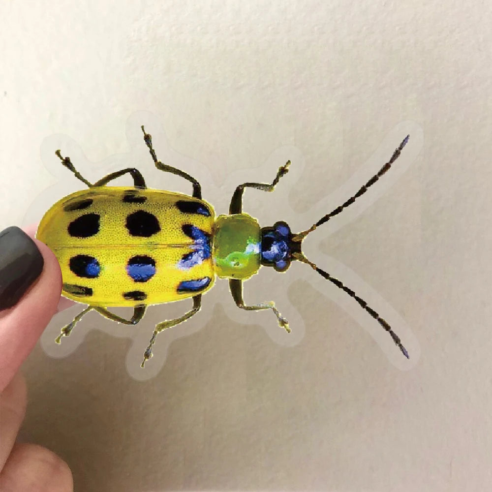 50pcs Cartoon Cute Cartoon Insect Beetle Stickers PET for Toy DIY