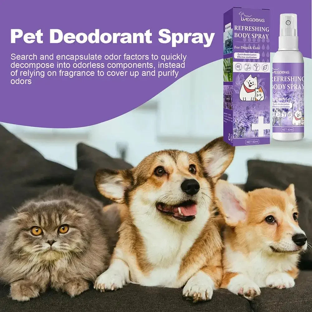 Lavender Oil Dog Deodorizer Spray Long Lasting Puppies Cats Dogs for