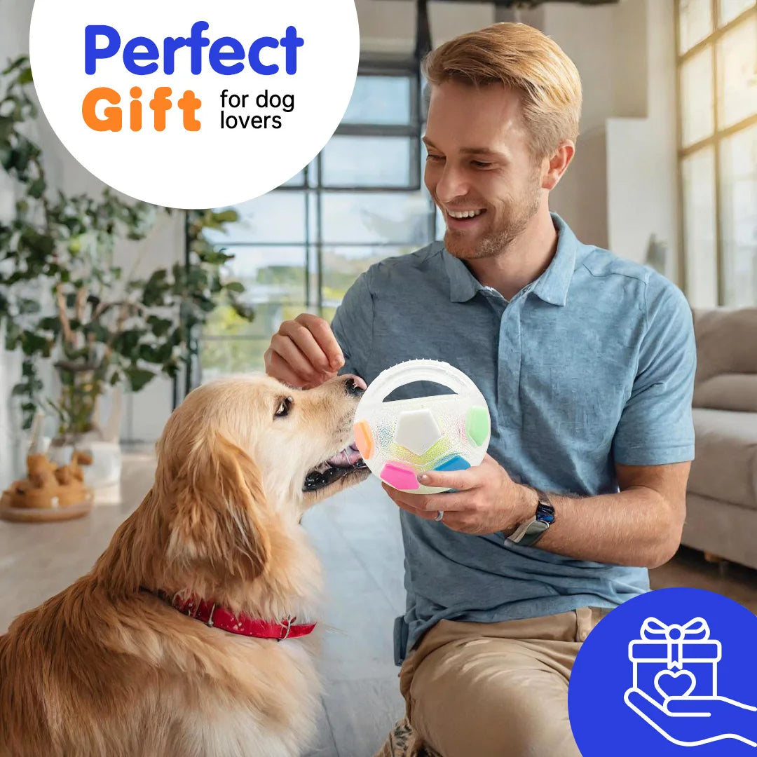 New football tennis ball shaped pet dog toys, durable teething relief