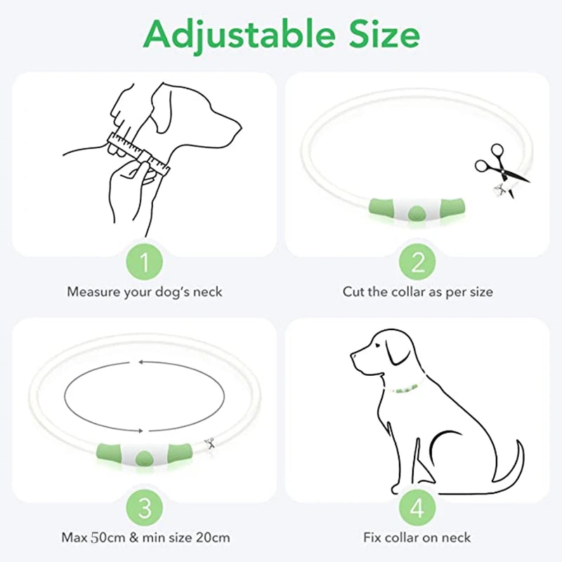 Luminous Dog Collar Light Charge Cat Necklace, Led Fashion Flashing