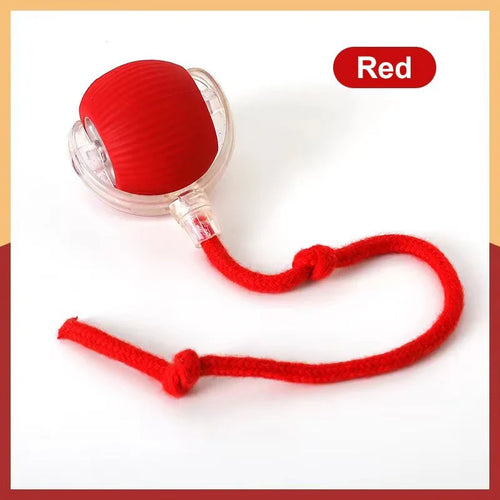 Hot Electric Dog Ball Toys Automatic Rolling Ball Rechargeable Smart
