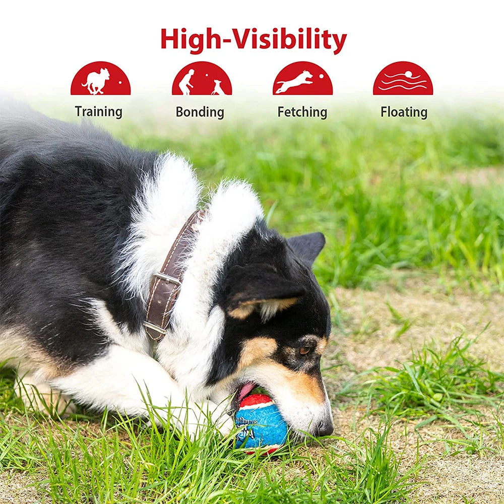 Pet Dog Squeaky Tennis Ball Interactive Dog Toys High Bounce Sound