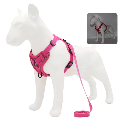 Harness and Leash Set Pet Accessories Dog Harness For Small Dog French