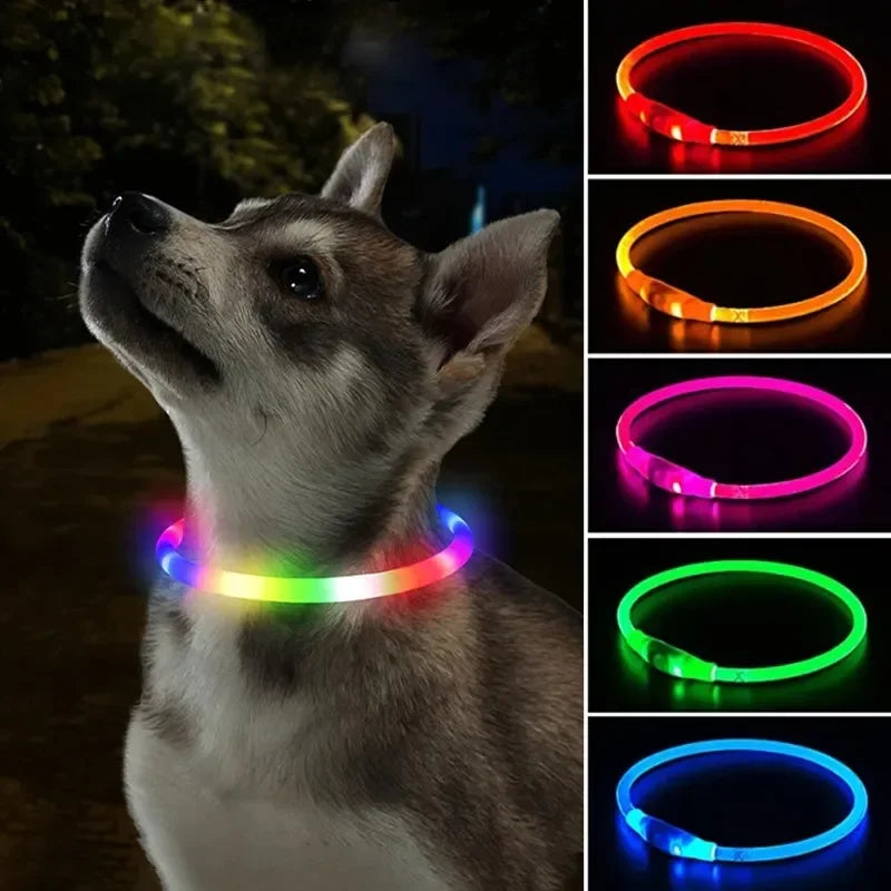 Dog Collar Luminous Usb Cat Dog Collar 3 Modes Led Light Glowing Loss
