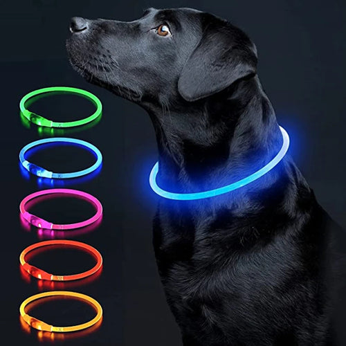 Luminous Dog Collar Light Charge Cat Necklace, Led Fashion Flashing