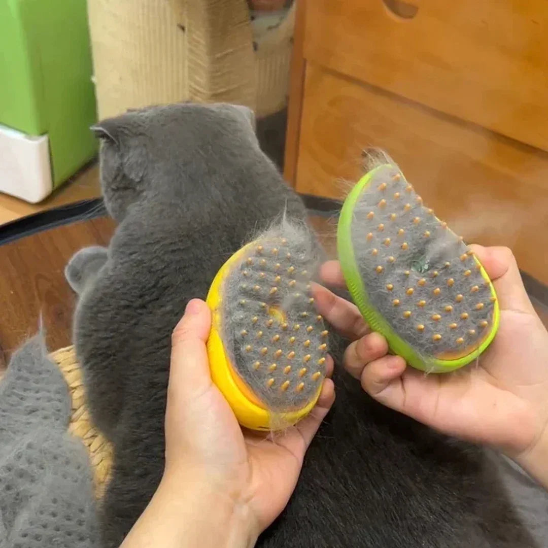 Cat Dog Steamy Brush Steam Brush Electric Sprayer for Massage Pet