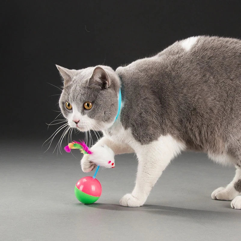 Pet cat toys durable colorful feathers Mimi's favorite fur mouse