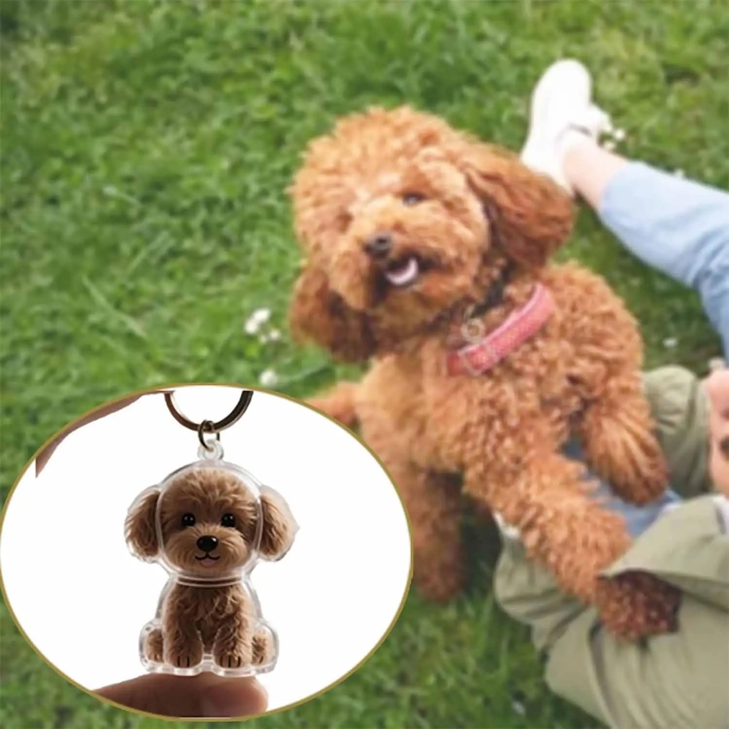 Transparent Cute Dog Pendant Keychain Creative Pet Hair Storage