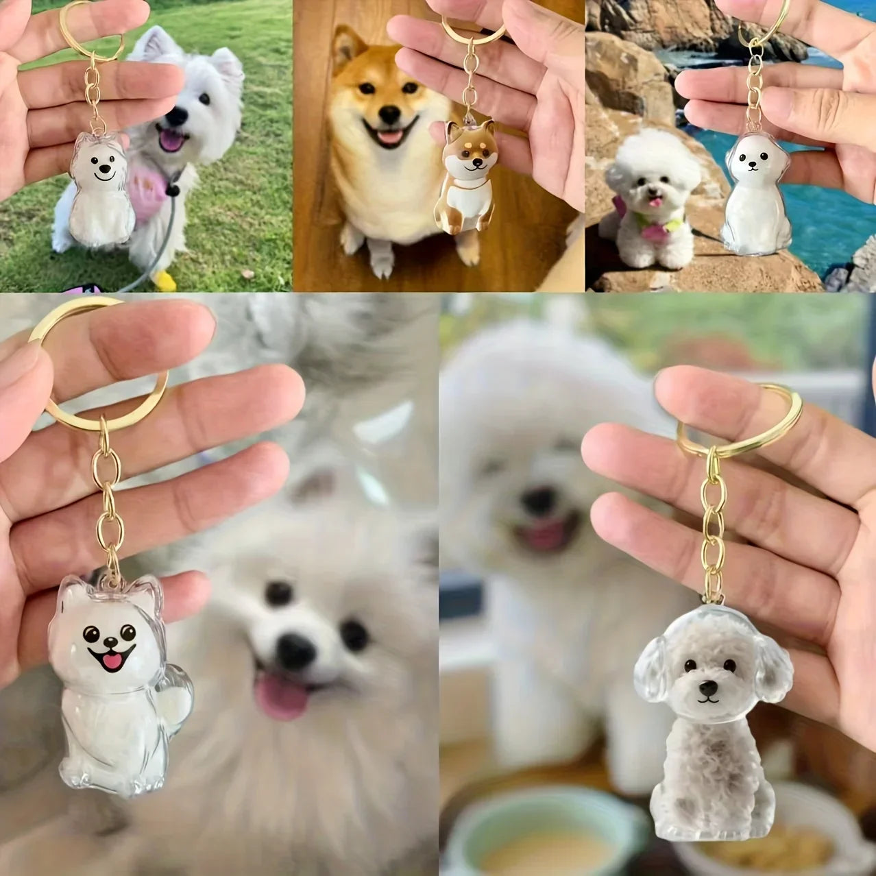  Transparent Dog Hair Storage Box Adorable Puppy Hair Memorial