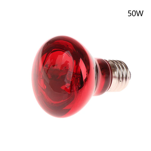 25/40/50/60/75/100W E27 UVA Poultry Bulb Infrared Night Light Day