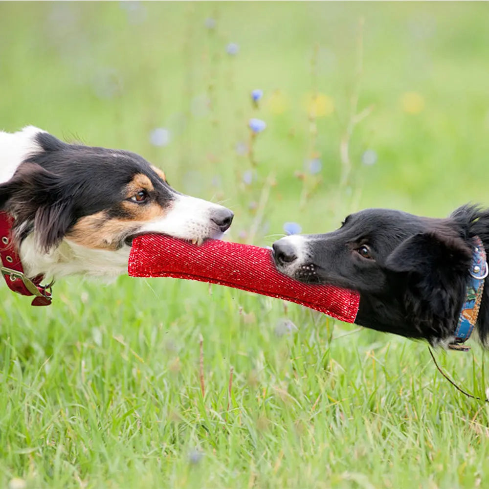Dog Training Bite Stick Double Handle Interactive Toy Teeth Grinding