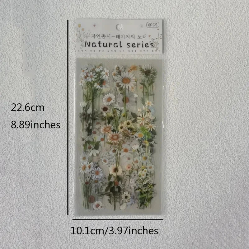 JIANQI 6pcs/pack Transparent PET Stickers Scrapbooking Materials DIY
